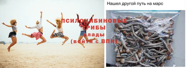 крисы Медвежьегорск