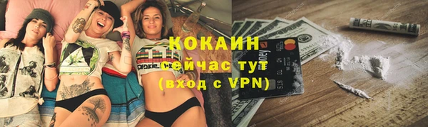крисы Медвежьегорск