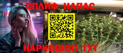 ешки Камышлов