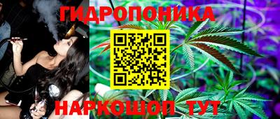 jwh Кимры
