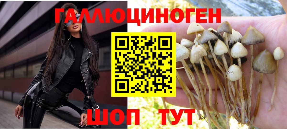 Галлюциногенные грибы Cubensis  Родники 