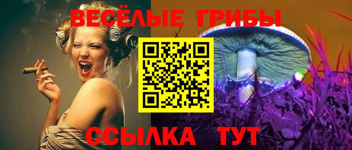 Галлюциногенные грибы мухоморы Родники