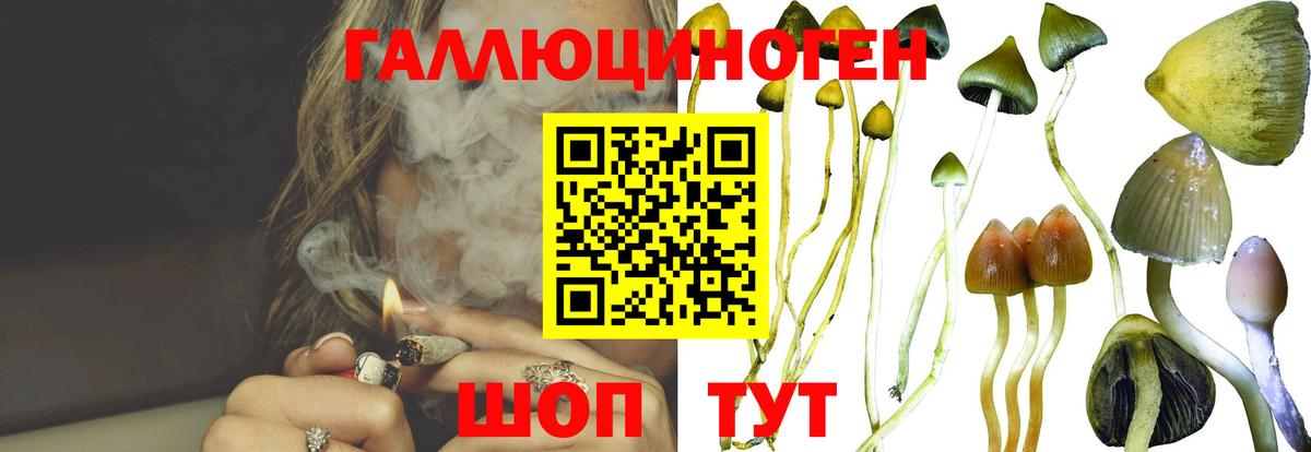 Псилоцибиновые грибы ЛСД  Вход с VPN  Родники 