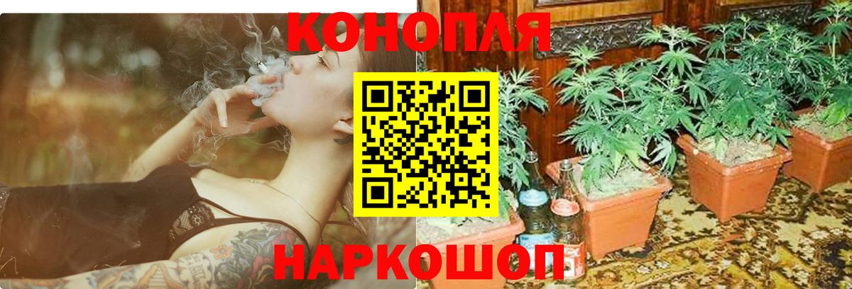 Марихуана White Widow  Вход с VPN  Бошки Шишки тримм  Родники  Бошки марихуана сатива  Марихуана сатива 